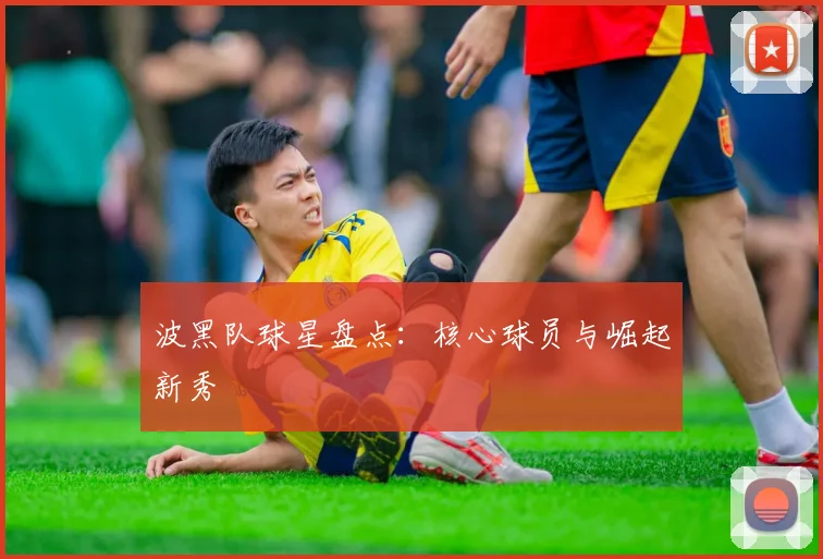 波黑队球星盘点：核心球员与崛起新秀