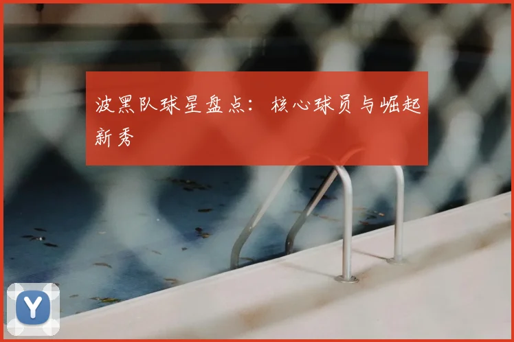 波黑队球星盘点:核心球员与崛起新秀